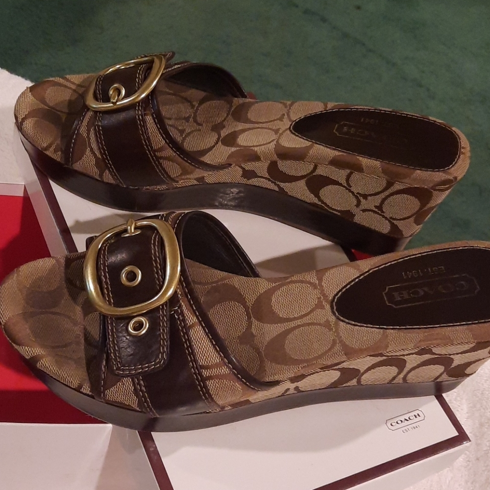 Brown and Tan Coach Sandals